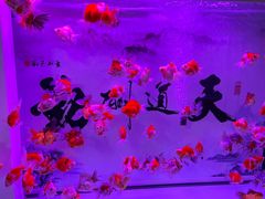 -山东柏宁水族批发广场