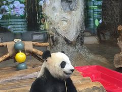-海南热带野生动植物园