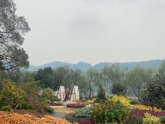 -石燕湖生态旅游景区