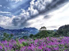 -山王坪喀斯特国家生态公园