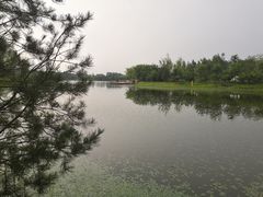-东郊湿地公园