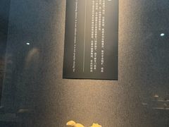 -亳州博物馆