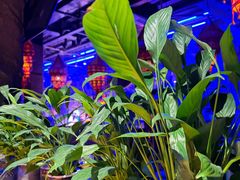 -花腰餐吧Bistro烧烤 傣味(传媒大学店)