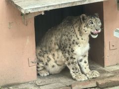 -青藏高原野生动物园