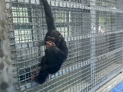 -合肥野生动物园