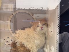 -FAELING PETS美天灵宠物(富力广场店)