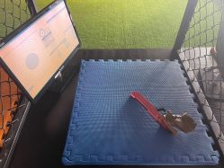 -嗨翻Hi-Fun竞技主题乐园·蹦床团建生日聚会(五棵松华熙店)