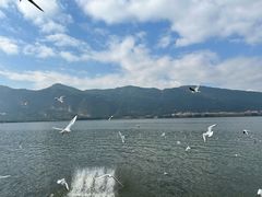 -海埂大坝