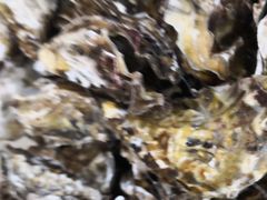 -宾朋海鲜特色美食餐厅·纯手工鲅鱼水饺(兴海路店)