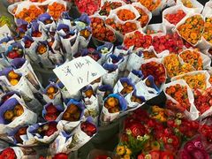 -三圣花乡旅游区