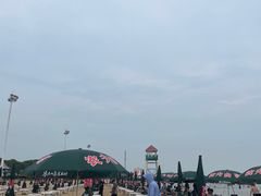 -碧海金沙