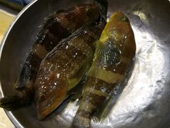 -揭阳钟记小食(福田新村店)