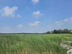 -西青郊野公园