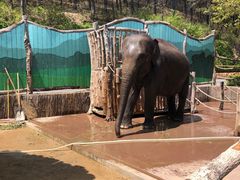 -大连森林动物园