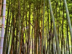 -万达影城(太仓IMAX激光店)