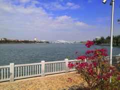-五缘湾湿地公园