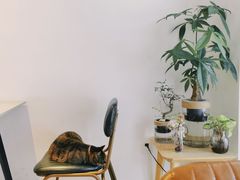 -PAUSE CAFE(南秀村店)