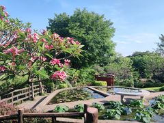 -广州莲花山旅游区