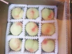 -南汇新场正宗水蜜桃采摘