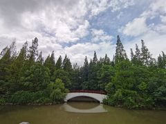 -东平国家森林公园