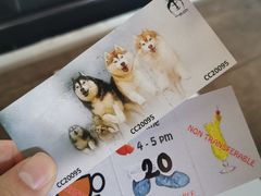 -TrueLove @ Neverland (Husky Cafe)