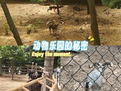 -大连森林动物园