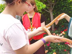 -南宫温泉水世界