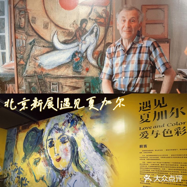 北京看展| 漫游夏加尔的画布人生