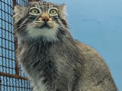 -青藏高原野生动物园