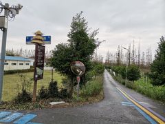 -上海长兴岛郊野公园