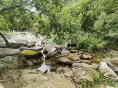 -黑龙潭风景区