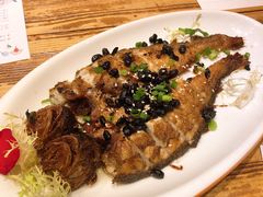 -胡桃里音乐酒馆(石家庄店)
