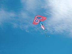 -春花秋色城市公园