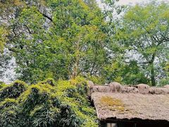 -成都武侯祠博物馆