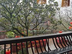 -峨眉山报国寺