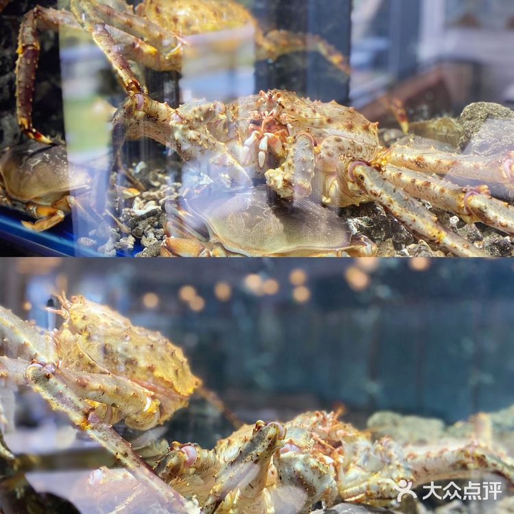 福州探店●新加坡的黑珍珠餐厅🦀珍宝海鲜🍽