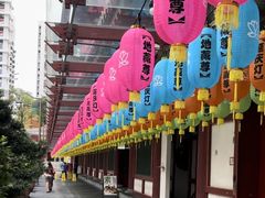 -新加坡佛牙寺龙华院