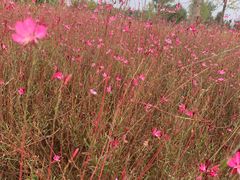 -汉长安城未央宫国家考古遗址公园