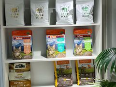 -青奢宠物·青奢猫舍