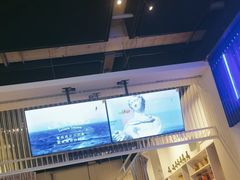 -玛尚诺Pizza&Bar(长泰广场店)