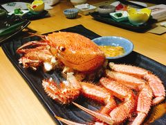 -鲤·鮨KOISUSHI
