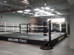 -花环泰拳·勒德斯拉泰拳馆(静安店)