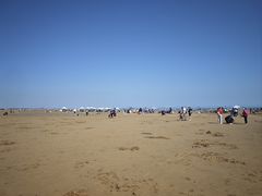 -日照海滨国家森林公园