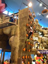 -卡通尼·Safari非洲探索乐园·生日会(金桥国际商业广场店)