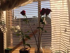 -兰纳泰式spa(古城店)