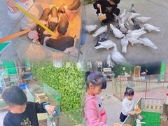 -史努比缤纷世界