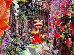 -正佳雨林生态植物园