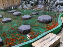 -上海大自然野生昆虫馆(东方明珠·爬宠昆虫探索中心)
