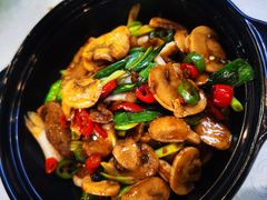 干锅蘑菇-金家老三饭庄(常营店)