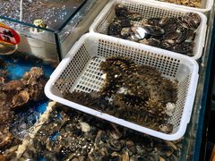 -旺角小渔村(幸福中路店)